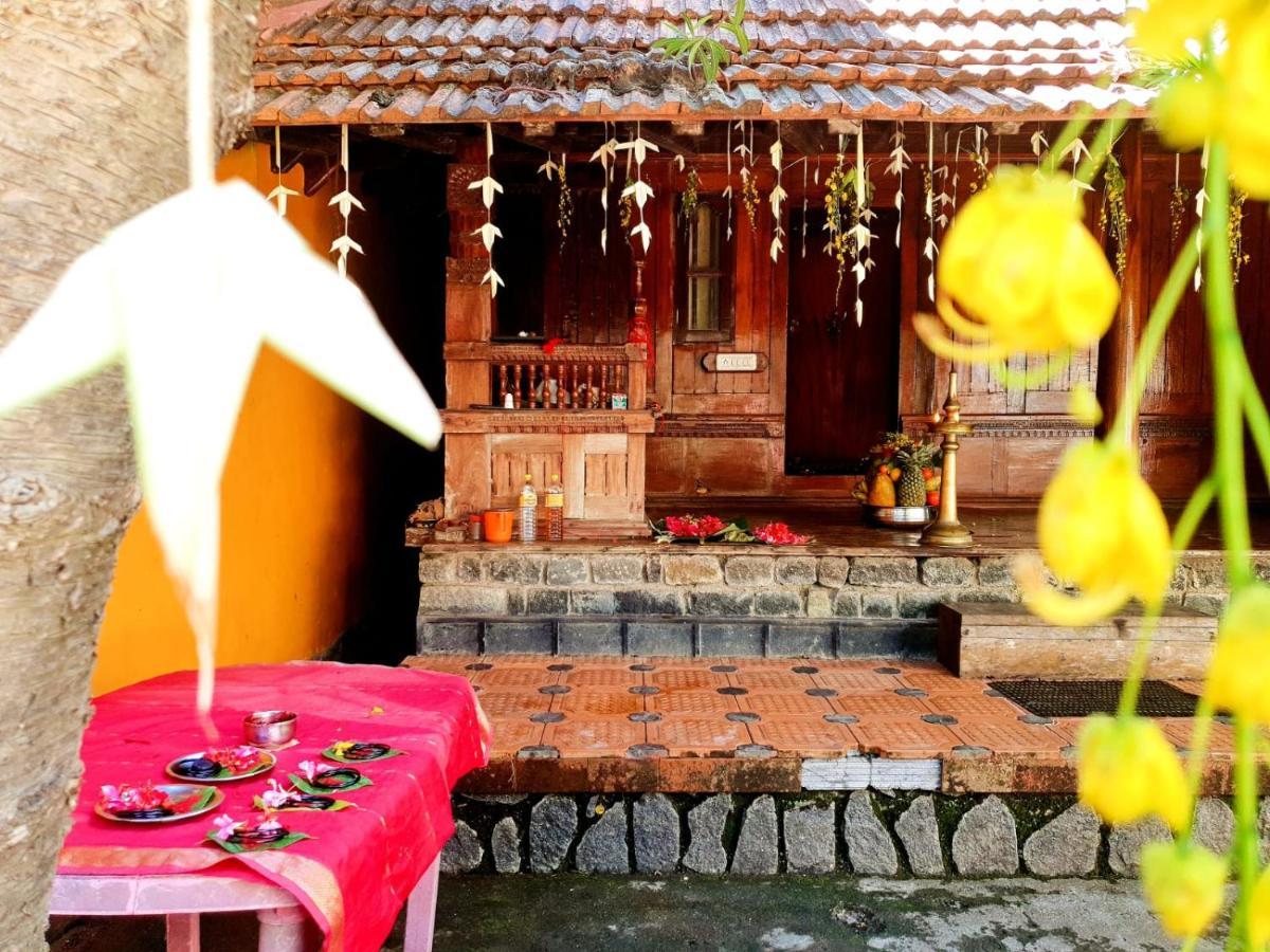 شقة Thriphala Ayurveda Yogashram تريفِندرم المظهر الخارجي الصورة